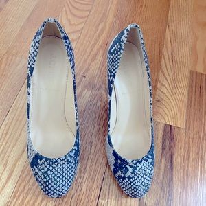 JCrew Size 6 pumps.